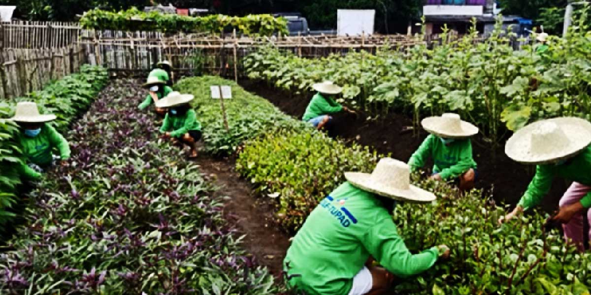 DOLE-TUPAD creates livelihood, develops self-reliance