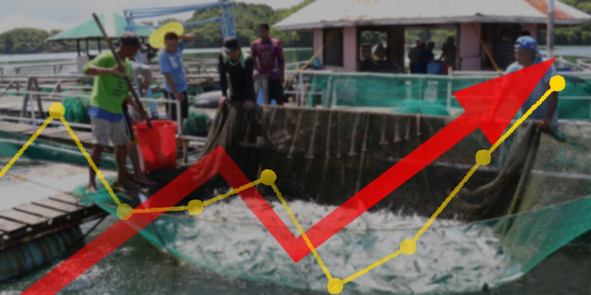 Aquaculture pushes Guimaras fishery to 2.98 pct growth