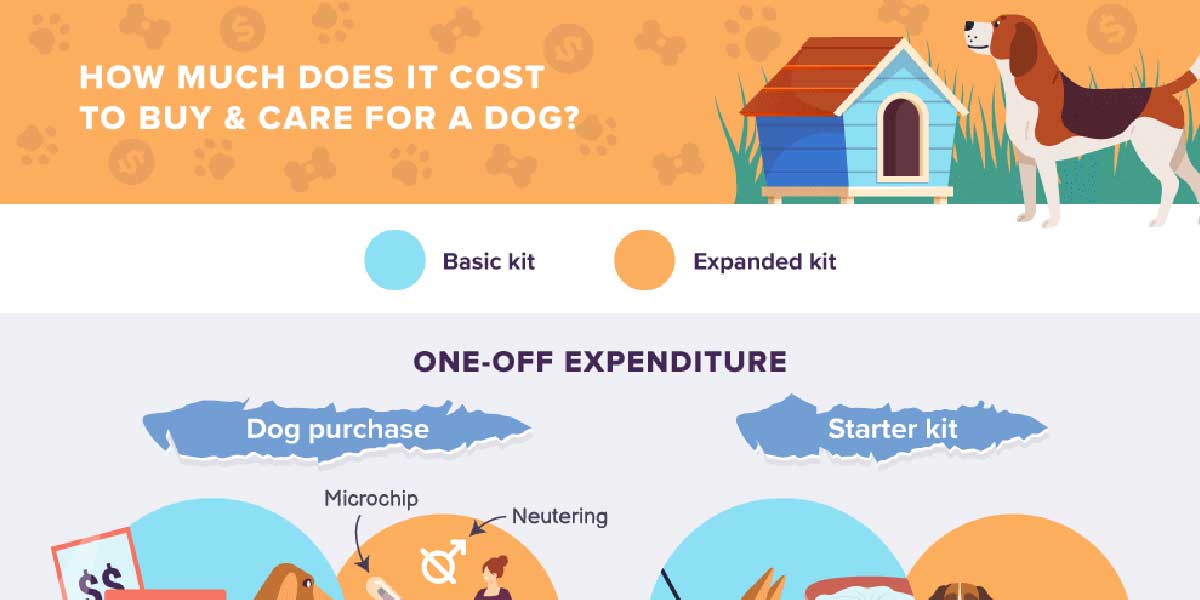 how much does it cost to care for a dog