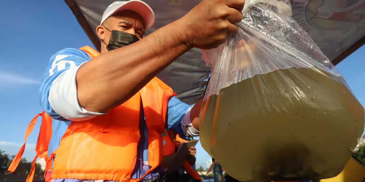 Over 2,000 fish fingerlings released in Iloilo River