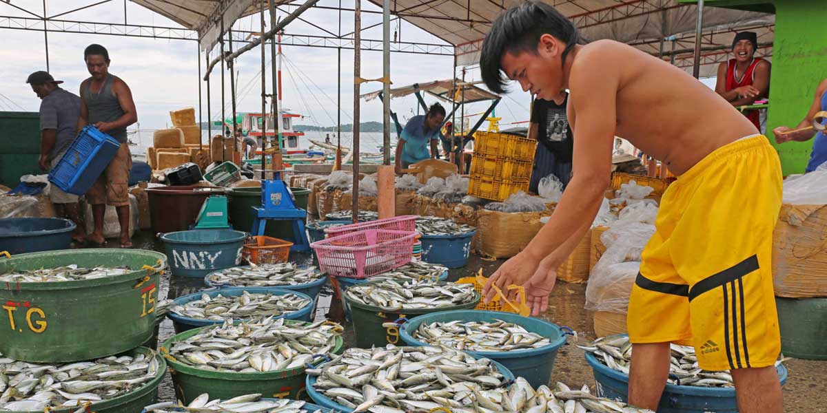 W. Visayas’ fisheries output up in Q1