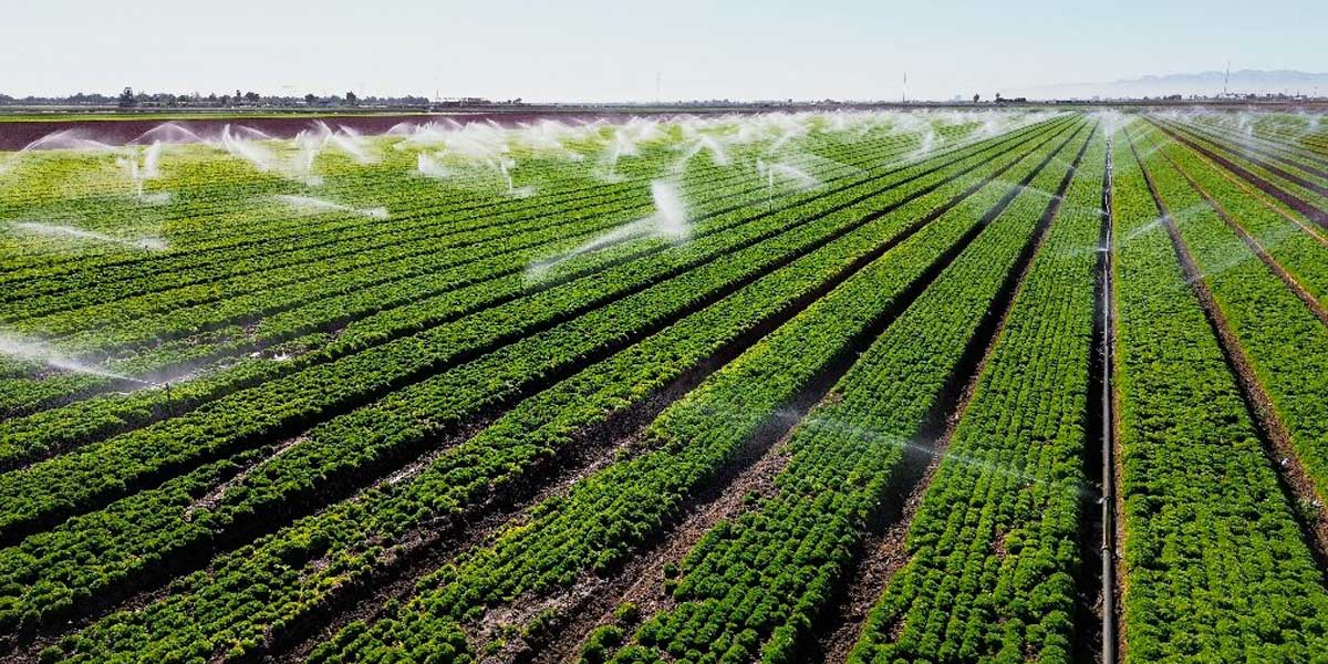 ‘Vampiric’ water use leading to ‘imminent’ global crisis, UN warns ‘Vampiric’ water use leading to ‘imminent’ global crisis, UN warns