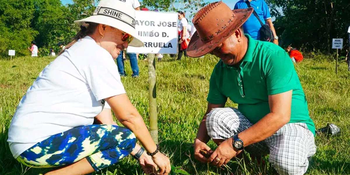 2,000 trees planted during Capiz mayor’s birthday