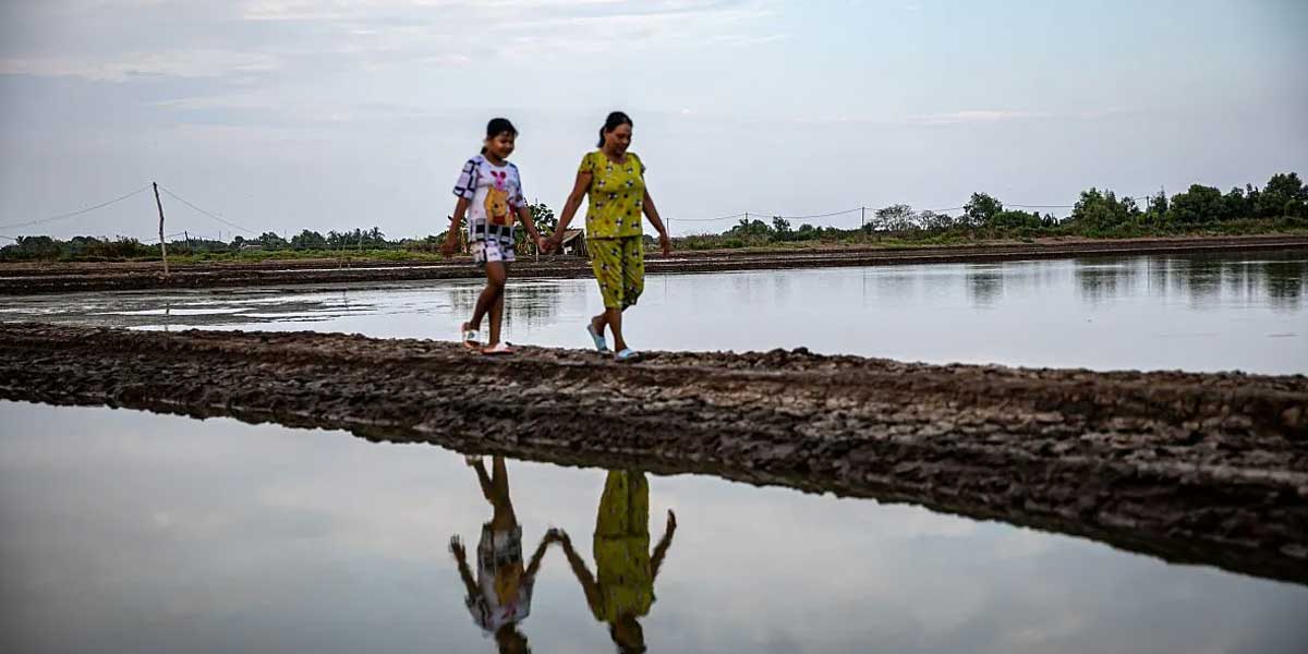 Women and girls bear brunt of water and  sanitation crisis, UNICEF-WHO report says