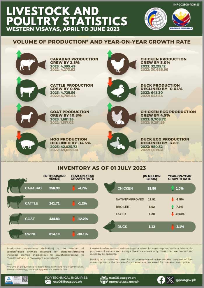 W. Visayas’ hog, duck production decline in Q2 of 2023 | Daily Guardian