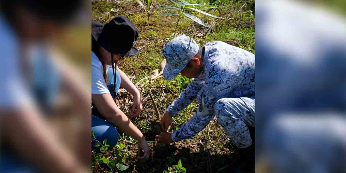 Commission launches bamboo campaign for climate resilience