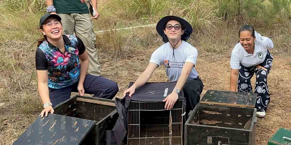 Rehabilitated wildlife returns to Semirara forest
